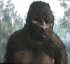 sasquatch / #222306