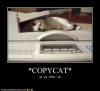 copycat / #203528