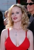 thora birch / #237049