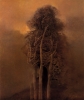 zdzislaw beksinski