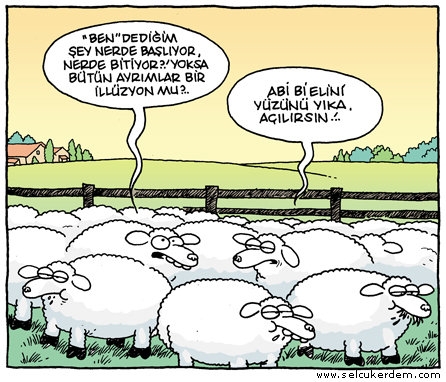 bağımsız bir birey olabilmek üzerine