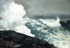 winslow homer / #231789