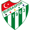 bursaspor voleybol takımı / #214409