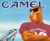 camel supertwister / #261595