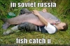 in soviet russia / #197466