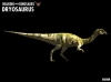 leaellynasaura