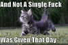 not a single fuck was given that day / #248241