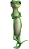 geico / #211851