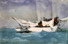 winslow homer / #231780