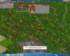 transport tycoon deluxe