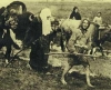 başörtülü kıza iran a siktir git diyen kemalist / #228272