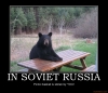 in soviet russia / #197463