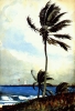 winslow homer / #231791