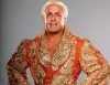 ric flair / #207261