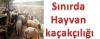 pkk nın para kaynakları / #190991