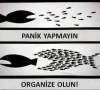 panik yapmayıp organize olmak / #236030