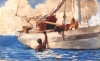 winslow homer / #231825