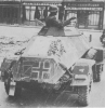 sdkfz 221