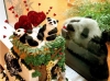 panda dondurma reklamindaki sevimli panda