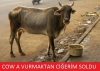kova vurmaktan ciğeri sönen adam / #268580