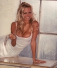 pamela anderson / #278579