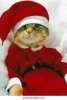 martın 12 sinde bacaya dadanan noel baba / #221836