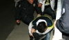 polisin sabiha gökçen de taraftara saldırması / #242091