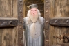 albus percival wulfric brian dumbledore