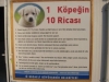 köpeklerin 10 ricası / #236603