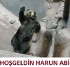 kültürlü ve eli ayağı düzgün erkek bulamamak / #215715