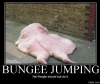 bungee jumping