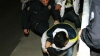 polisin sabiha gökçen de taraftara saldırması / #242120