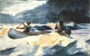 winslow homer / #231808