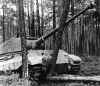 panzerkampfwagen vi tiger ii