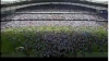 13 mayıs 2012 manchester city qpr maçı / #262916