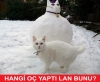 hangi orospu çocuğu yaptı lan bunu