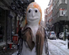 kardan adam sanatında kendini aşanlar / #221682