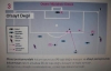 1 nisan 2012 trabzonspor fenerbahçe maçı / #244419