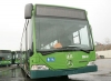 citaro / #249420