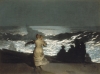 winslow homer / #231815