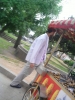kestaneci / #266399