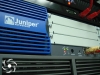 juniper / #231653