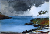 winslow homer / #231827