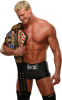 dolph ziggler / #204647