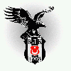 2010 2011 şampiyonlar ligi şampiyonu beşiktaş / #205816