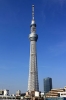 sky tree / #268002