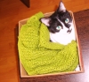 kedi sahibi uludağ sözlük yazarları / #211695