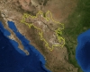 chihuahuan çölü / #194404