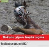 kemalizmi savunacağım derken sıçmak / #255268