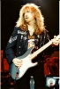 brad whitford